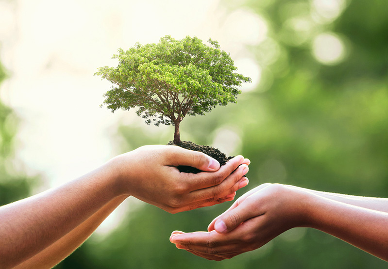 尊龙·(中国)承诺